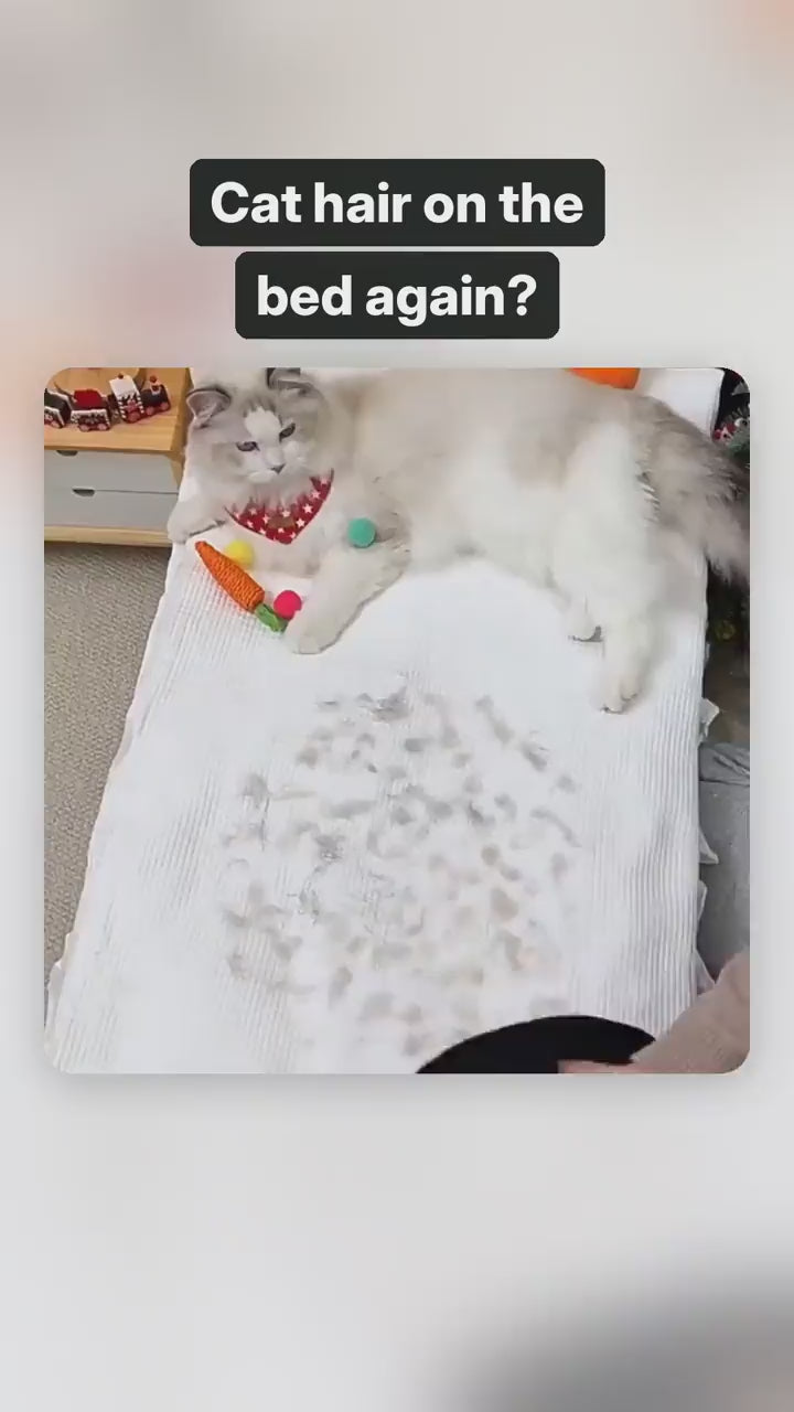 Pet Hair Mitt