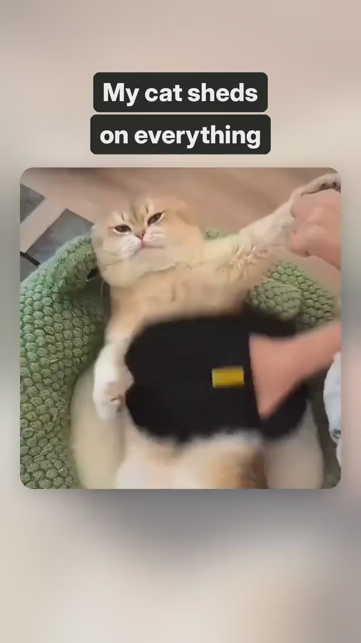 Pet Hair Mitt